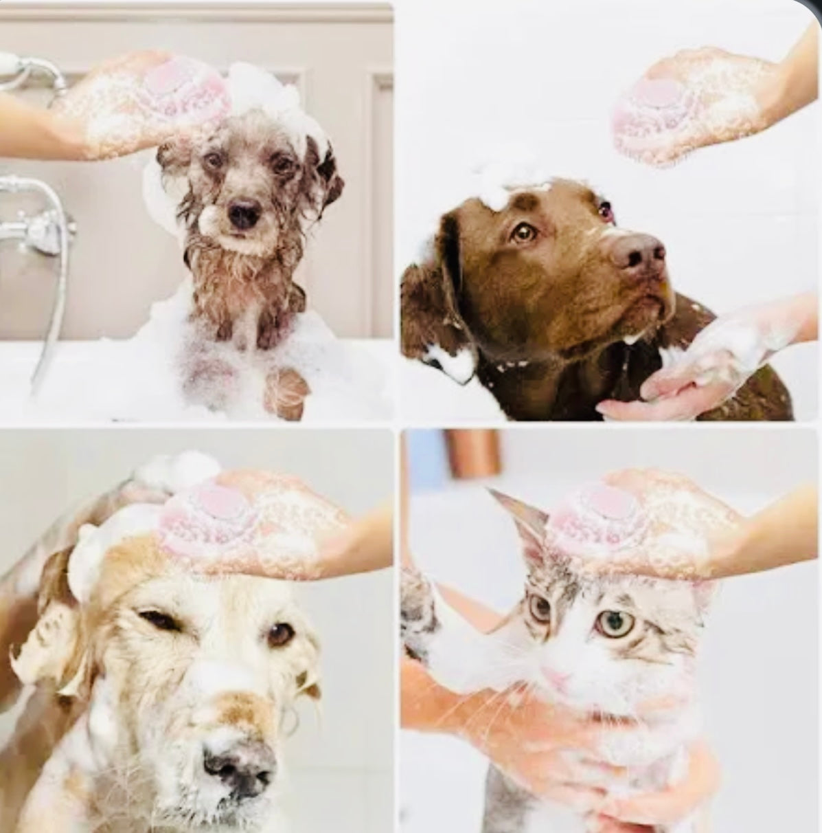 PET SHAMPOO BRUSH